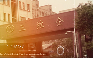 HIFULY Company History