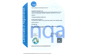 Hifuly Passed TS16949 in 2013